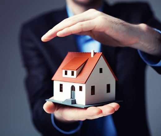 Our team of professionals