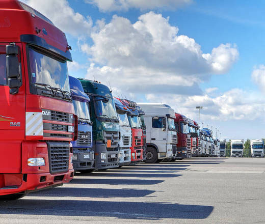 Our international network